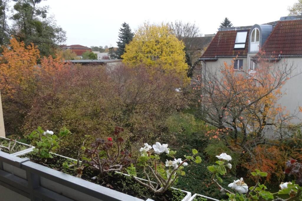 Schoene, Ruhige Wohnung In Berlin-Steglitz Eksteriør billede